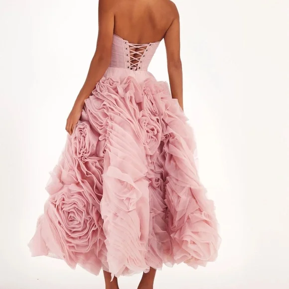 Milla Dramatically flowered tulle dress in misty pink - Picture 2 of 6